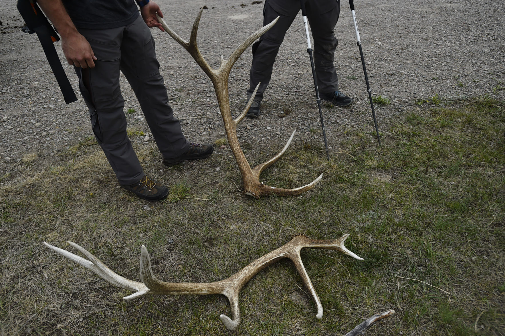 Sun River Shed Hunt